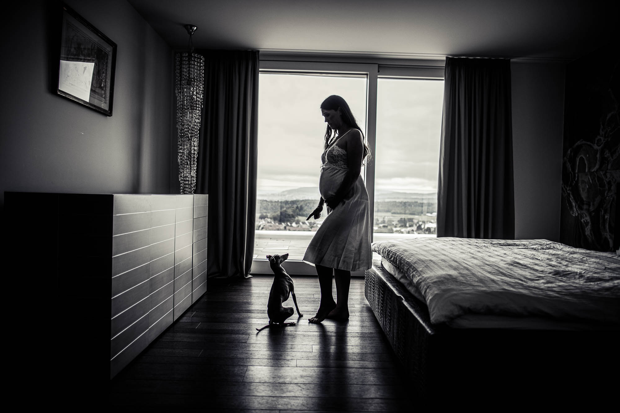 Export x3 1DX26146 Fotoshooting 2020 Zito 2